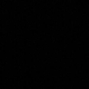 Meet your Posher, Allie